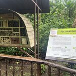 Photo taken by Samantha S