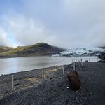 Photo taken by Meg K