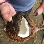 Photo taken by Anna L