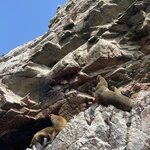 Photo taken by Anna Mae R