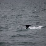 Photo taken by Amanda Z