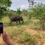 Photo taken by Karyn R