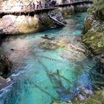 Clear waters in Vintnar Gorge | Photo taken by Eva W