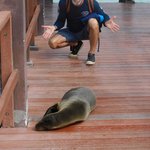 Photo taken by Steven M