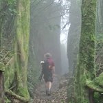 Photo taken by Graeme W