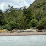 Photo taken by sam s