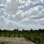 Photo taken by Tamaryn B