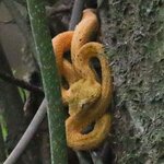 Photo taken by Joyce C