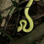 Photo taken by Anna L