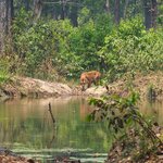 Photo taken by Jane G