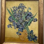 Photo taken by Shannon F