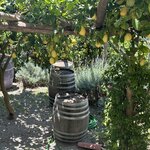 Photo taken by Jennifer F