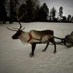 Photo taken by Andrew S