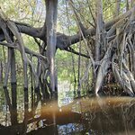 Photo taken by Peter F