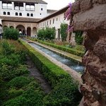 Photo taken by ayesha a