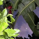 Photo taken by Tiphanny C