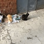 Photo taken by judy P