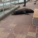 Photo taken by Gary W