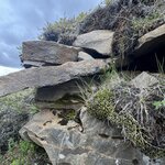 Photo taken by Dawn S