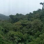 Photo taken by Traci V