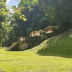 Photo taken by Camille S