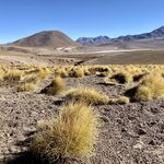 Photo taken by Carmen P