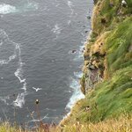 Photo taken by Eliza M