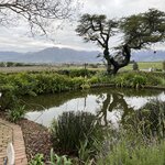 Photo taken by Brad P