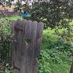 Gate to garden, Suzdal | Photo taken by Diane P