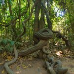 Photo taken by Brian C