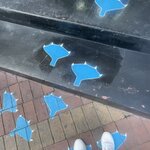 Photo taken by Sofia W