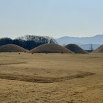 Photo taken by Laura W