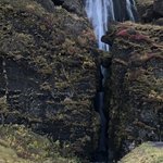 Seljalandsfoss | Photo taken by Josephine M