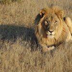 Photo taken by Sandro P