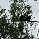 Photo taken by Penelope S