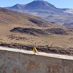 Photo taken by Samir K