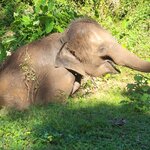 Photo taken by Chinwe O