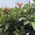 Photo taken by Emily F