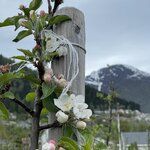 Photo taken by Owen B