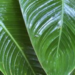 Photo taken by Sheila G