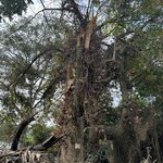 Photo taken by Michael L