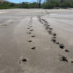 Photo taken by Wilbert A