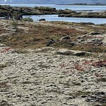 Photo taken by Nan K