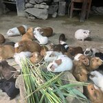 Photo taken by Melanie M