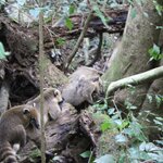 Photo taken by Stephen s