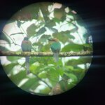 Photo taken by Emelyn J