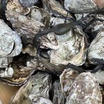 Photo taken by Martin D