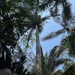 Photo taken by Marur Dev D