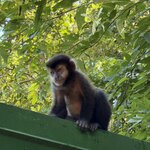 Photo taken by sam s