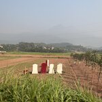 Photo taken by Susan R